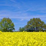 x0119 von Jochen Ruser